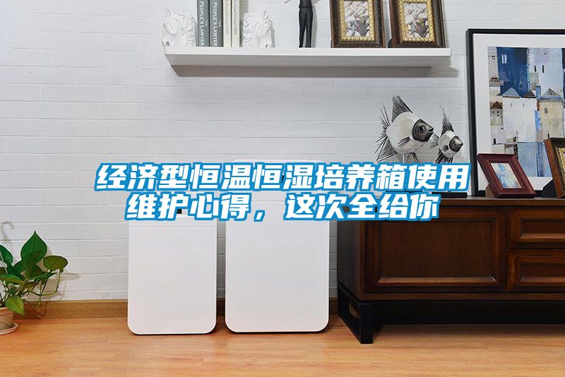 經濟型恒溫恒濕培養箱使用維護心得，這次全給你