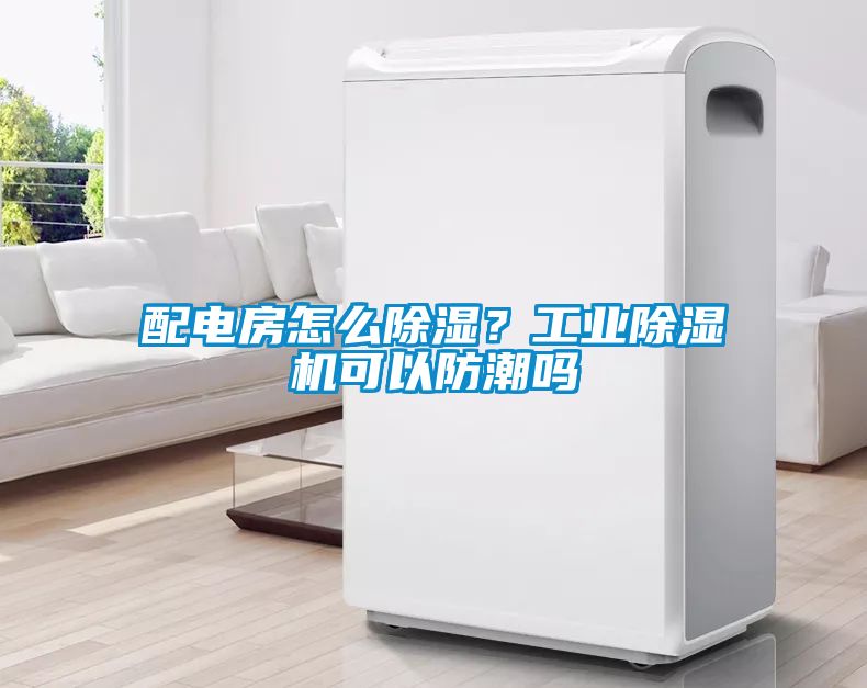 配電房怎么除濕？工業除濕機可以防潮嗎