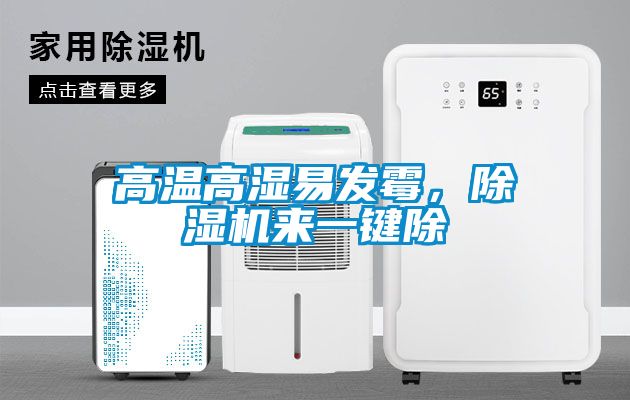 高溫高濕易發霉，除濕機來一鍵除