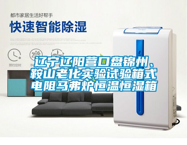 遼寧遼陽營口盤錦州、鞍山老化實驗試驗箱式電阻馬弗爐恒溫恒濕箱