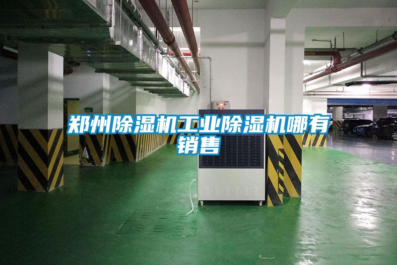 鄭州除濕機工業(yè)除濕機哪有銷售