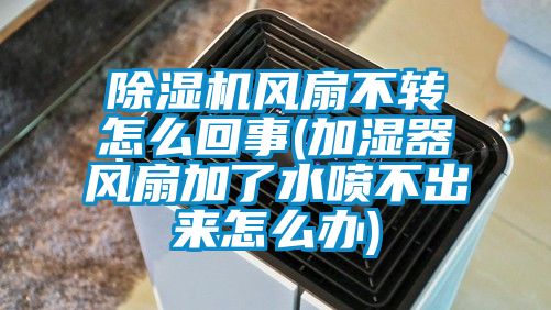 除濕機(jī)風(fēng)扇不轉(zhuǎn)怎么回事(加濕器風(fēng)扇加了水噴不出來(lái)怎么辦)