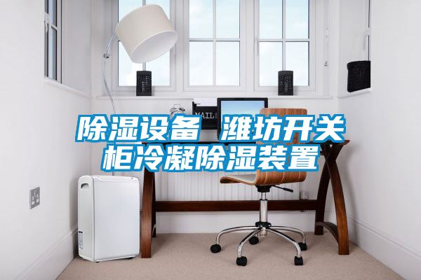 除濕設(shè)備 濰坊開(kāi)關(guān)柜冷凝除濕裝置
