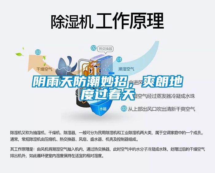 陰雨天防潮妙招，爽朗地度過春天