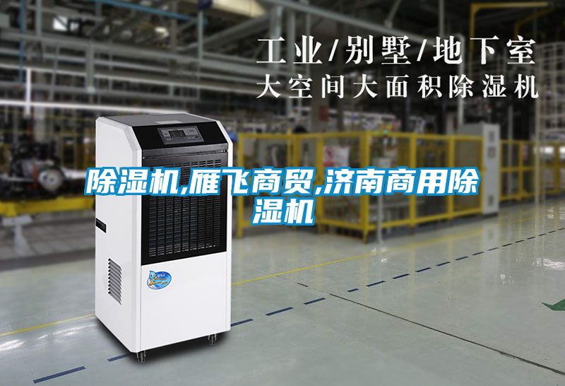 除濕機,雁飛商貿(mào),濟南商用除濕機