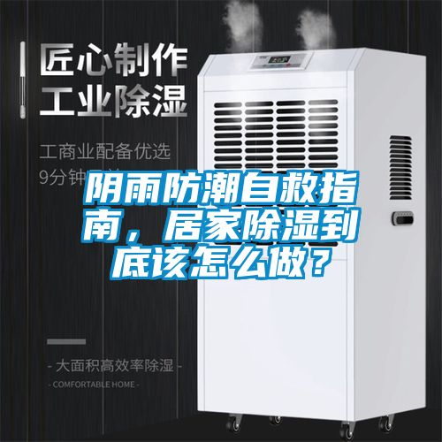 陰雨防潮自救指南，居家除濕到底該怎么做？