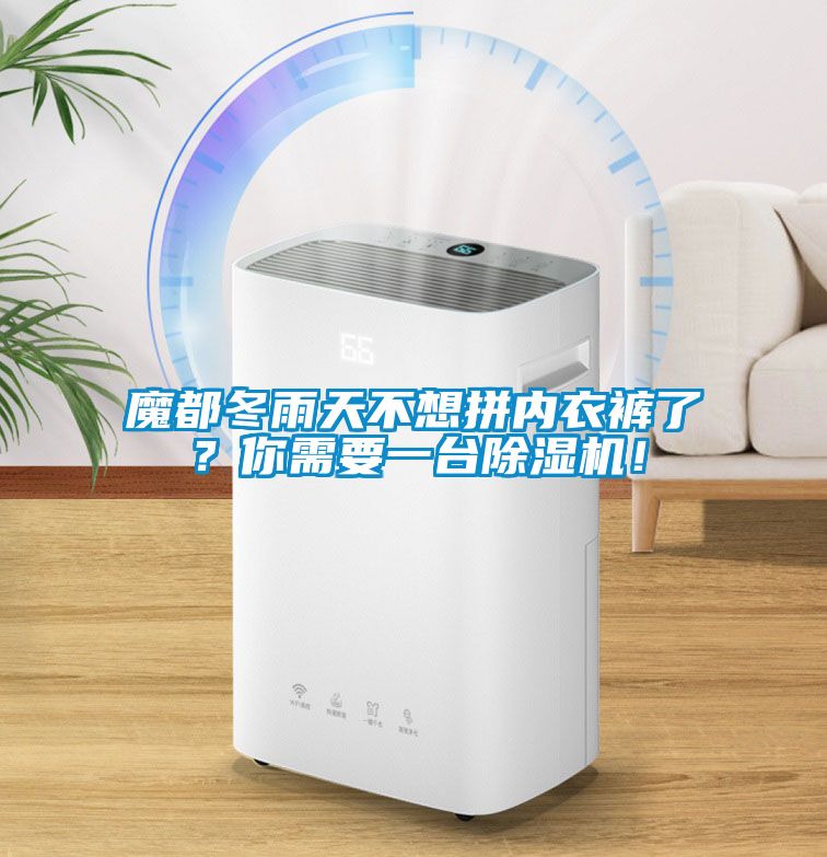 魔都冬雨天不想拼內衣褲了？你需要一臺除濕機！