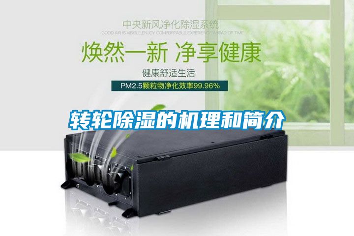 轉(zhuǎn)輪除濕的機(jī)理和簡介