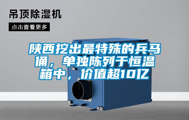 陜西挖出最特殊的兵馬俑，單獨(dú)陳列于恒溫箱中，價(jià)值超10億