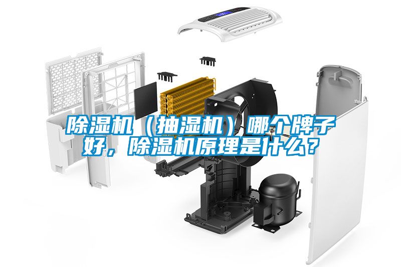 除濕機（抽濕機）哪個牌子好，除濕機原理是什么？