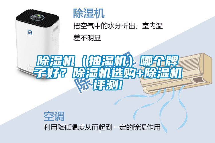 除濕機（抽濕機）哪個牌子好？除濕機選購+除濕機評測!