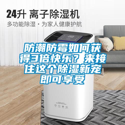 防潮防霉如何獲得3倍快樂(lè)？來(lái)接住這個(gè)除濕新寵即可享受
