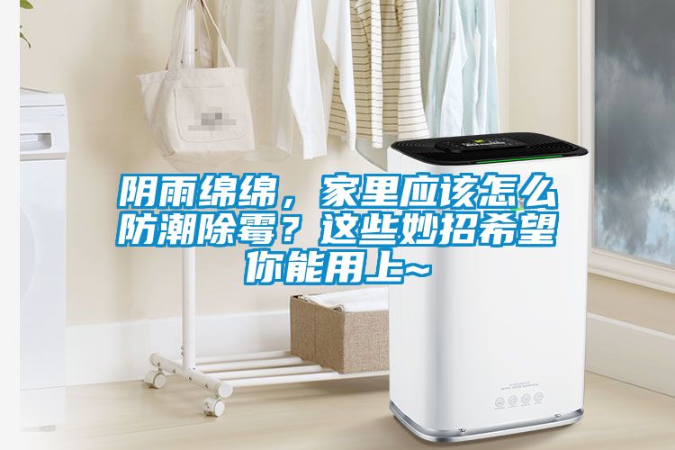 陰雨綿綿，家里應該怎么防潮除霉？這些妙招希望你能用上~