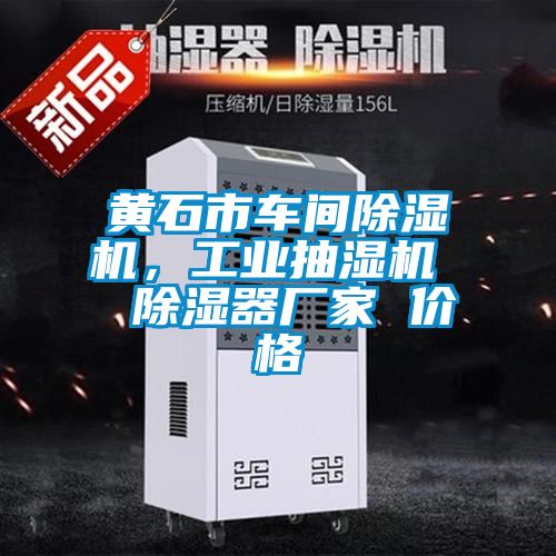 黃石市車(chē)間除濕機(jī)，工業(yè)抽濕機(jī)  除濕器廠(chǎng)家 價(jià)格