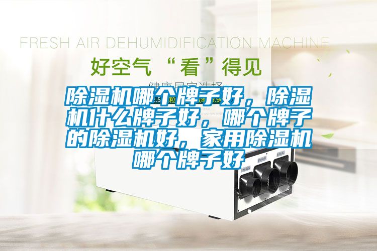 除濕機哪個牌子好，除濕機什么牌子好，哪個牌子的除濕機好，家用除濕機哪個牌子好