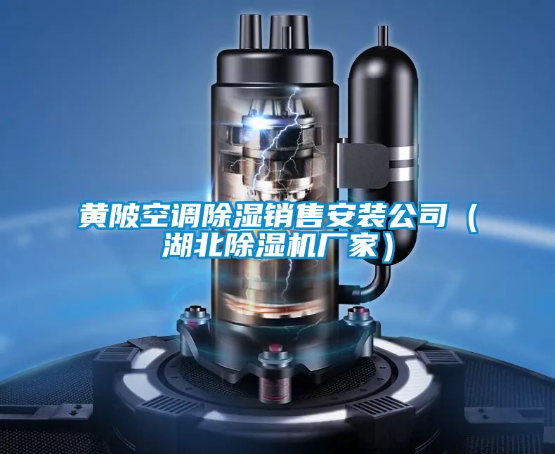 黃陂空調(diào)除濕銷(xiāo)售安裝公司（湖北除濕機(jī)廠(chǎng)家）