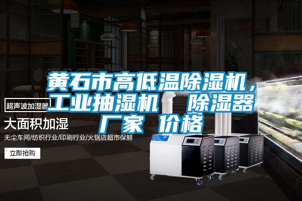 黃石市高低溫除濕機(jī)，工業(yè)抽濕機(jī)  除濕器廠(chǎng)家 價(jià)格
