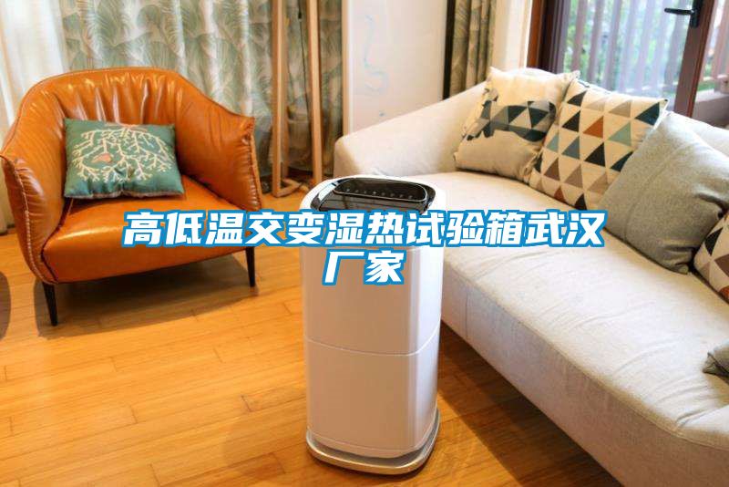 高低溫交變濕熱試驗箱武漢廠家