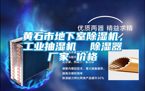 黃石市地下室除濕機(jī)，工業(yè)抽濕機(jī)  除濕器廠(chǎng)家 價(jià)格