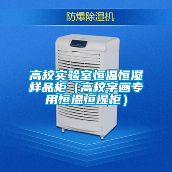 高校實(shí)驗(yàn)室恒溫恒濕樣品柜（高校字畫(huà)專用恒溫恒濕柜）