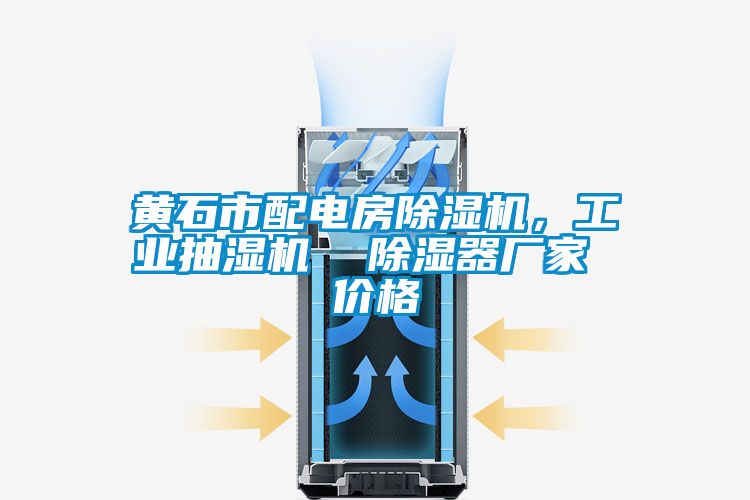 黃石市配電房除濕機(jī)，工業(yè)抽濕機(jī)  除濕器廠(chǎng)家 價(jià)格