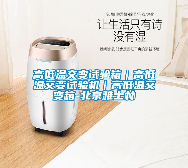 高低溫交變試驗箱｜高低溫交變試驗機｜高低溫交變箱-北京雅士林